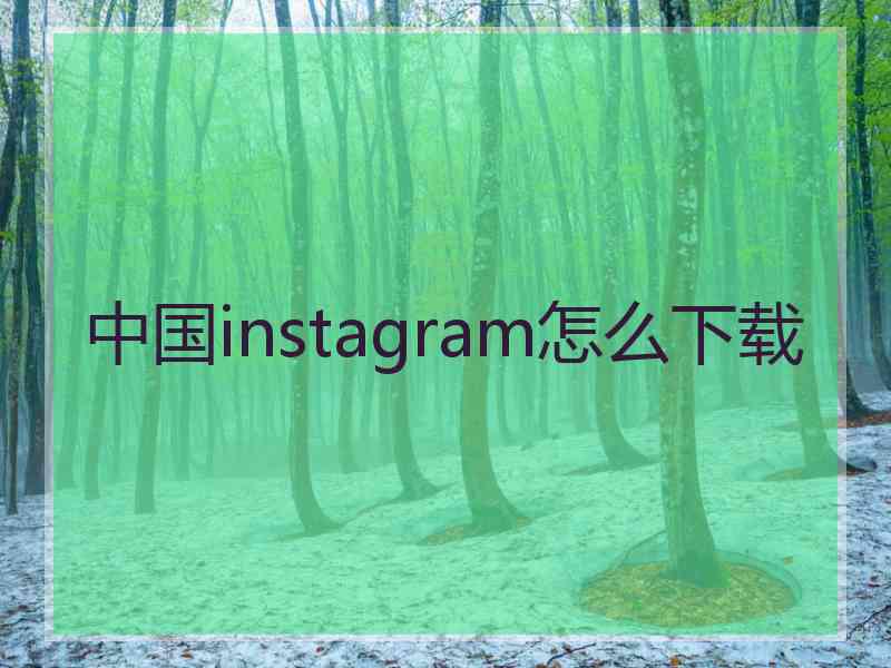 中国instagram怎么下载