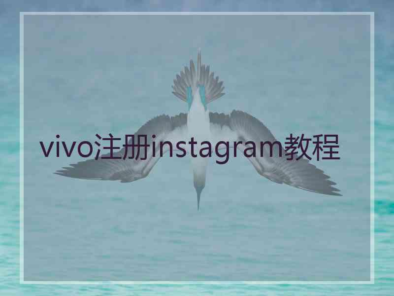 vivo注册instagram教程