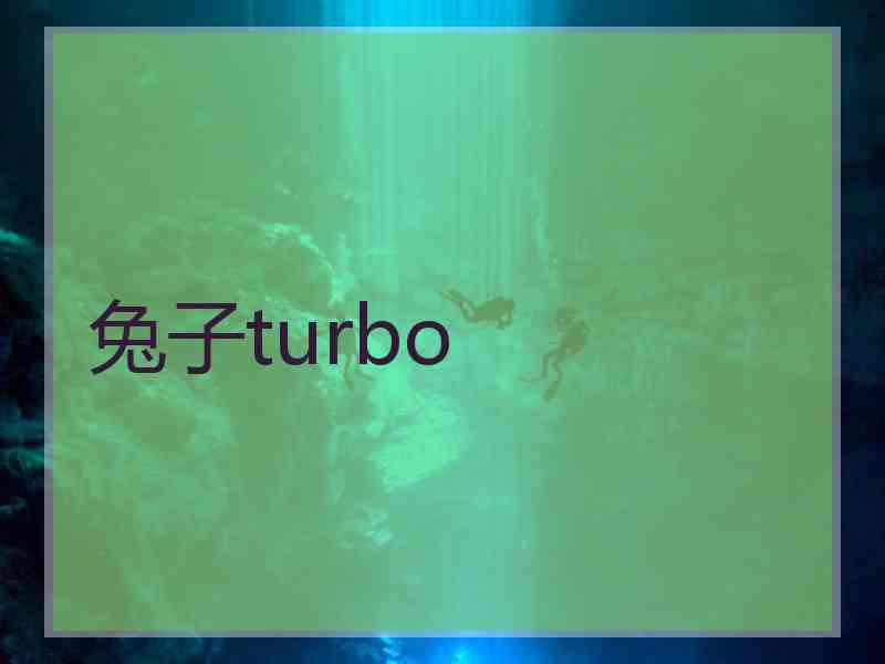 兔子turbo