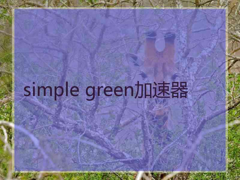 simple green加速器