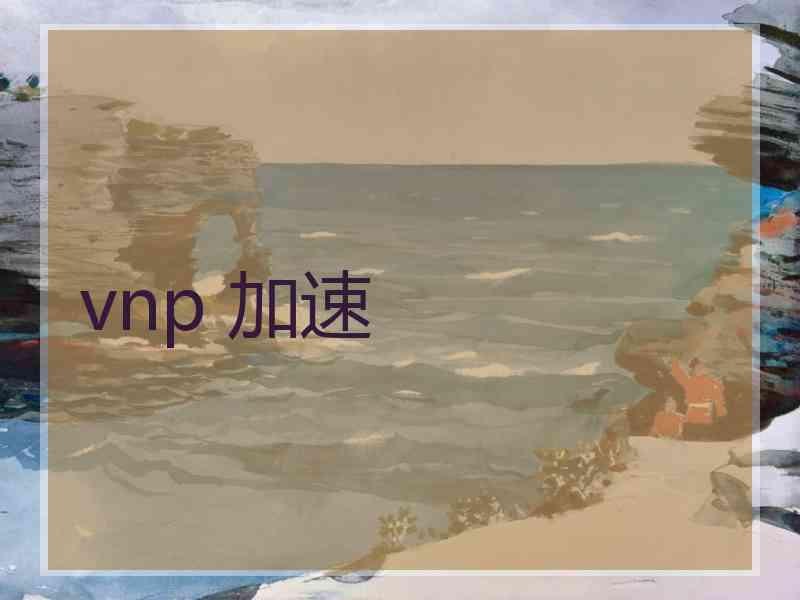 vnp 加速