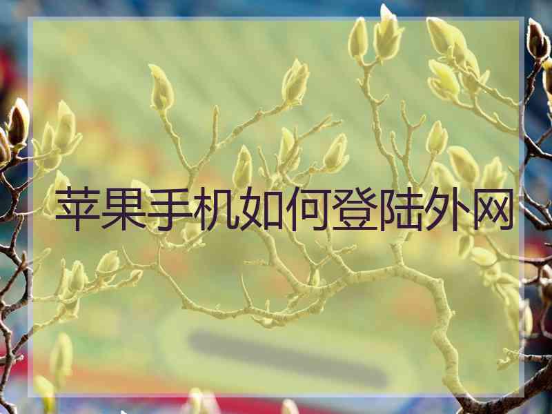 苹果手机如何登陆外网