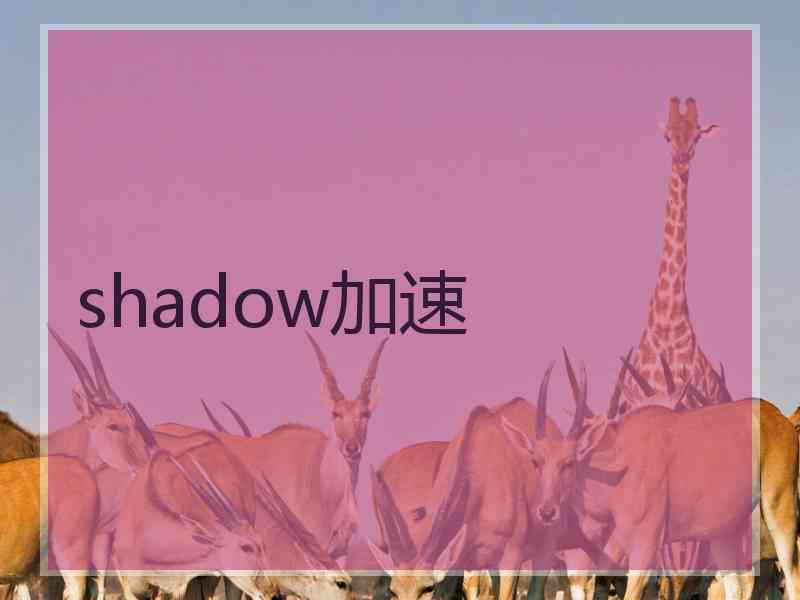 shadow加速