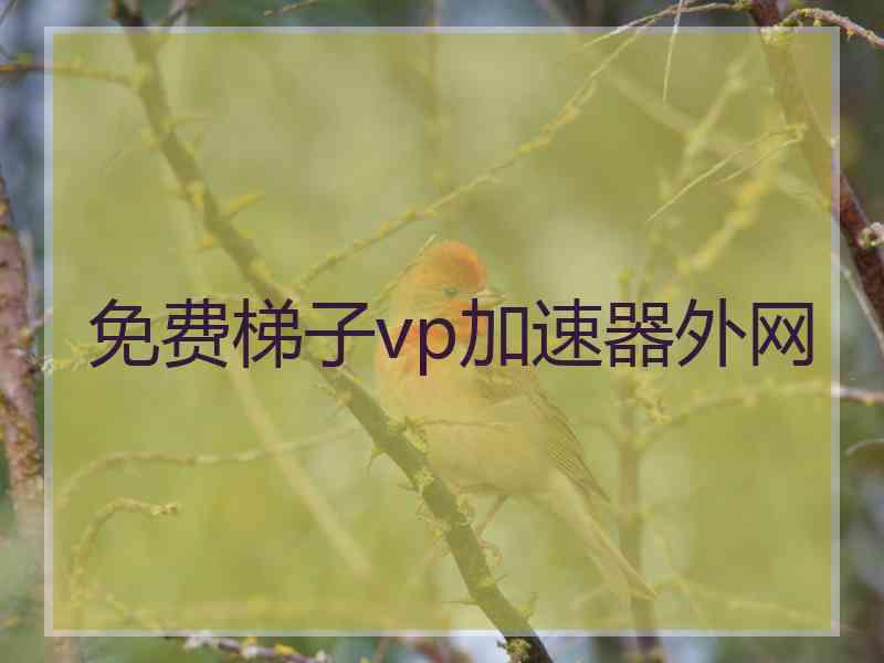 免费梯子vp加速器外网