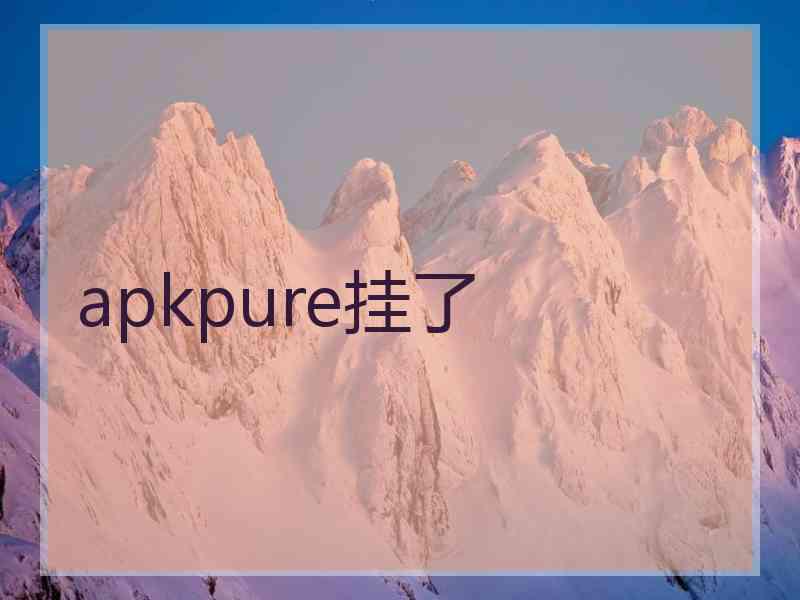 apkpure挂了