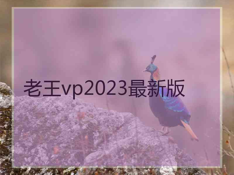 老王vp2023最新版