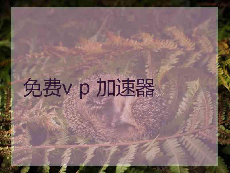 免费v p 加速器