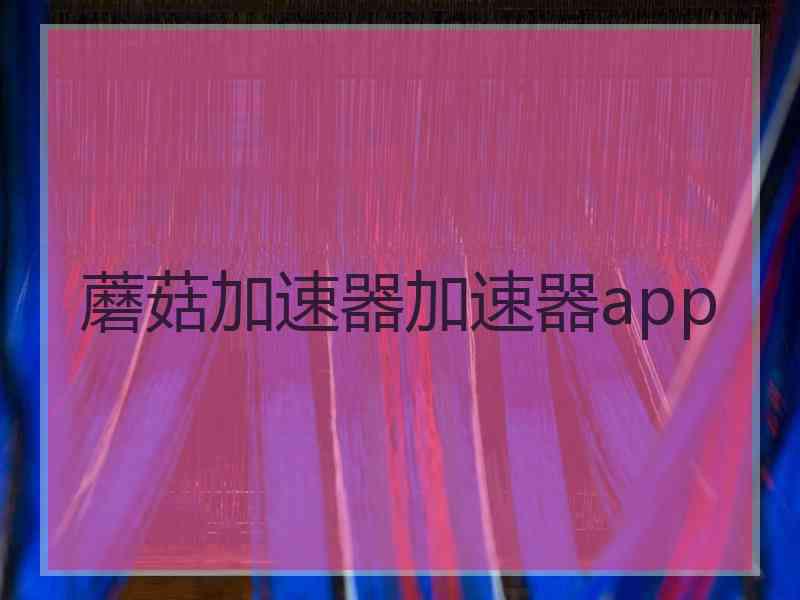 蘑菇加速器加速器app