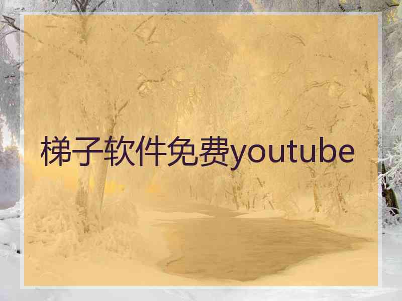 梯子软件免费youtube