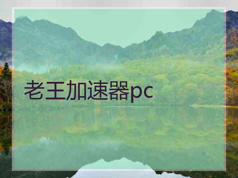 老王加速器pc