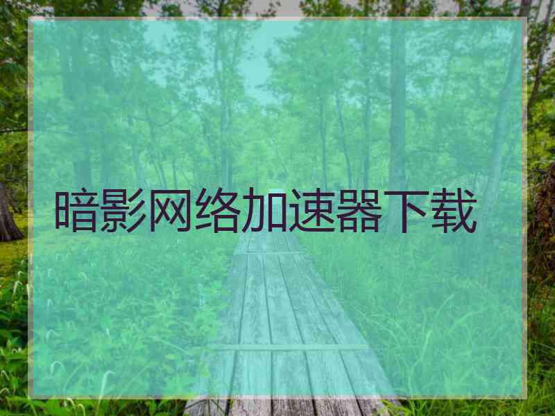 暗影网络加速器下载