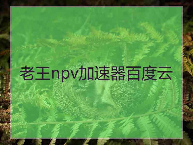 老王npv加速器百度云