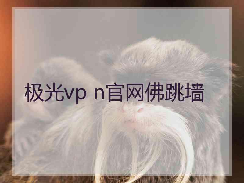 极光vp n官网佛跳墙