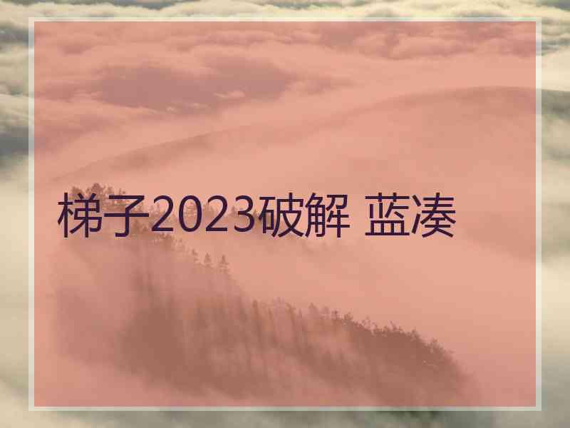 梯子2023破解 蓝凑