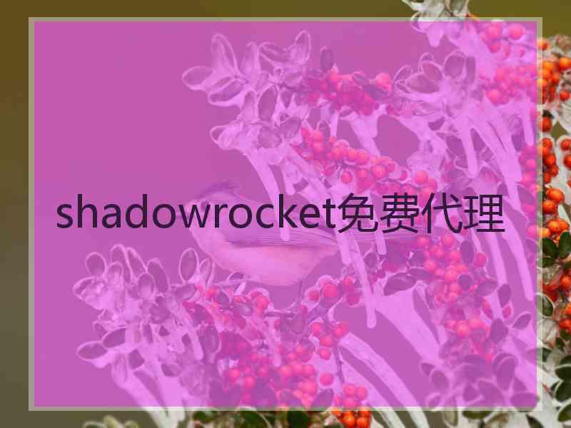 shadowrocket免费代理