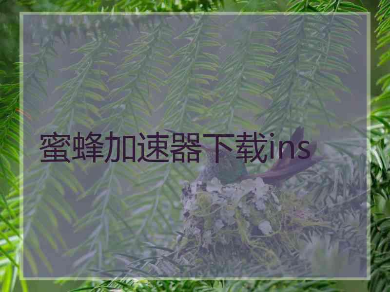 蜜蜂加速器下载ins