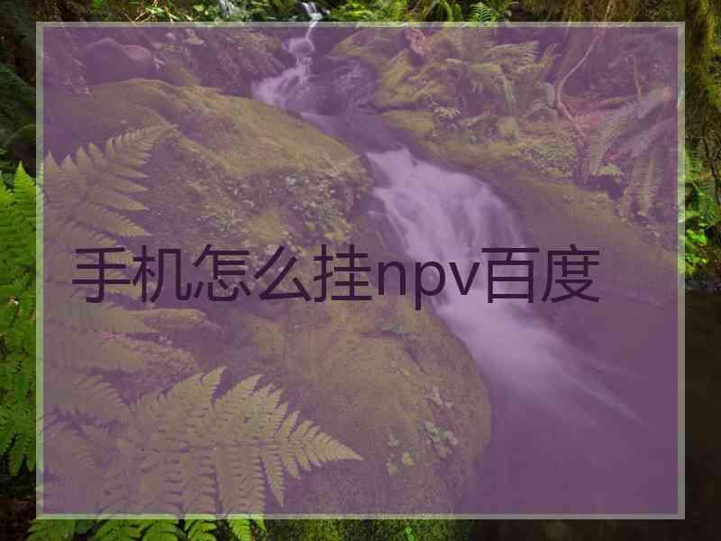 手机怎么挂npv百度