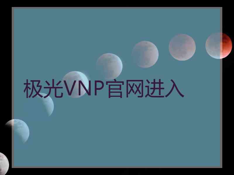 极光VNP官网进入