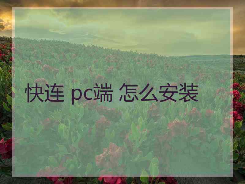 快连 pc端 怎么安装