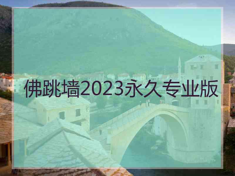 佛跳墙2023永久专业版