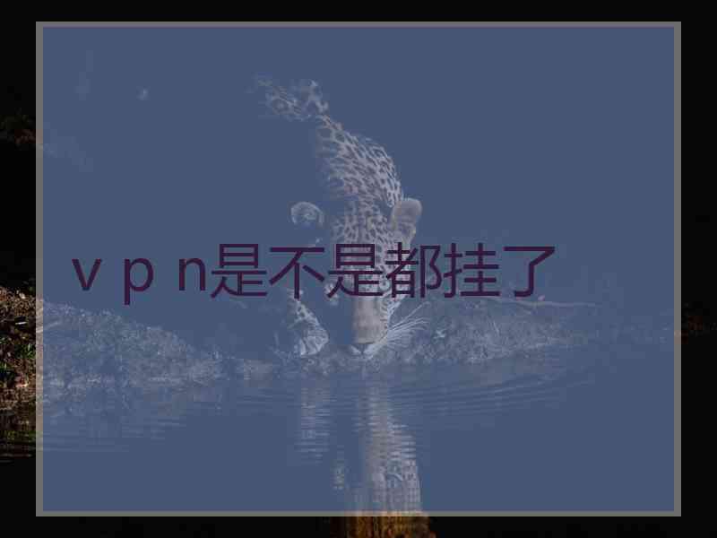 v p n是不是都挂了