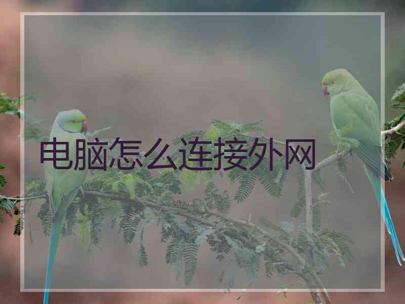 电脑怎么连接外网