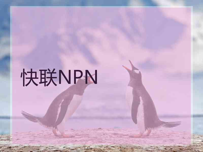 快联NPN