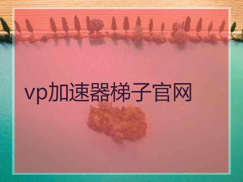 vp加速器梯子官网