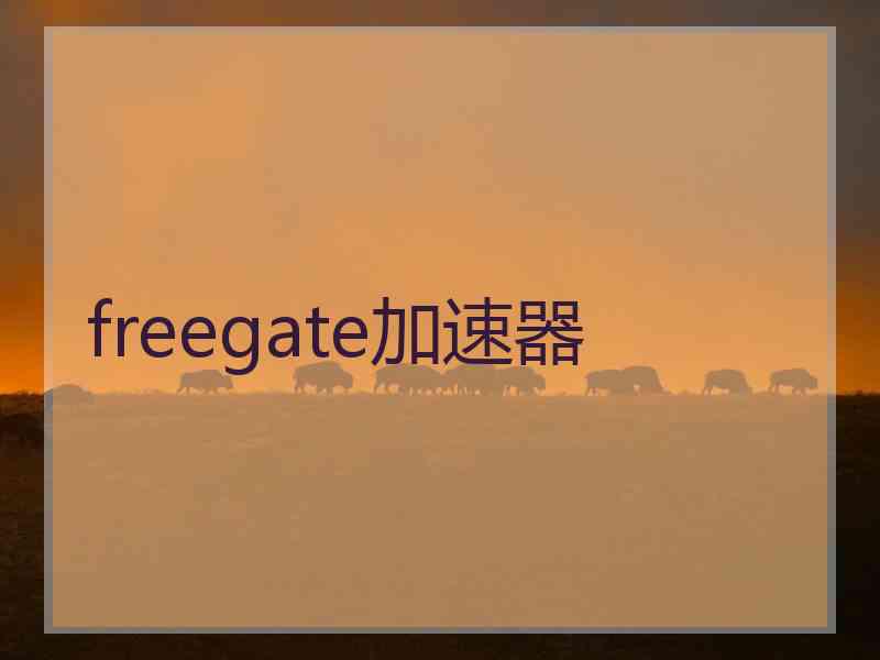 freegate加速器