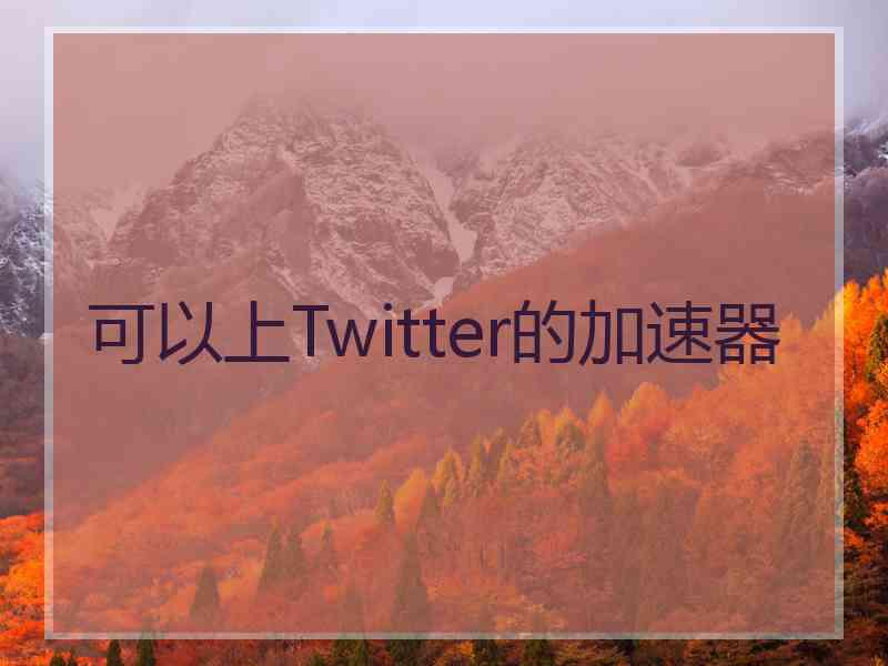 可以上Twitter的加速器