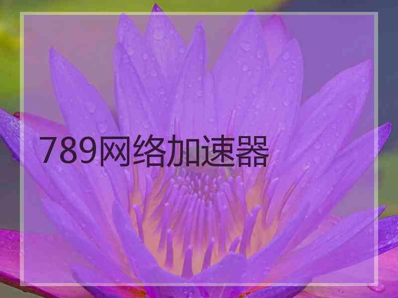 789网络加速器