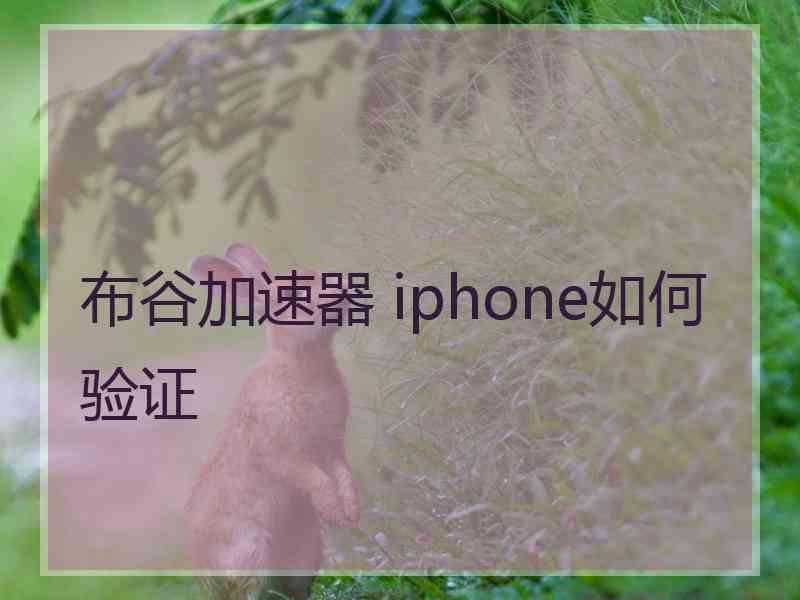 布谷加速器 iphone如何验证