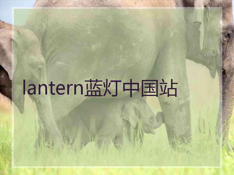 lantern蓝灯中国站