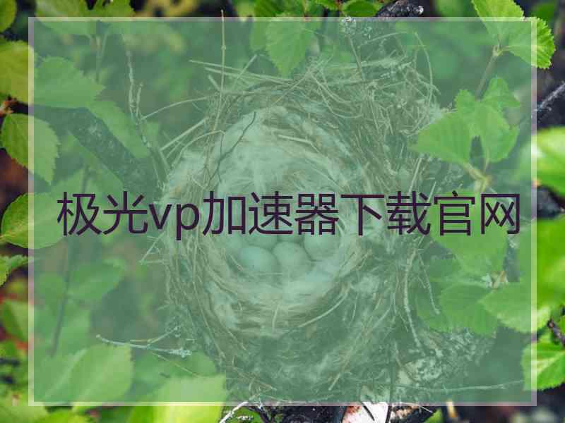 极光vp加速器下载官网