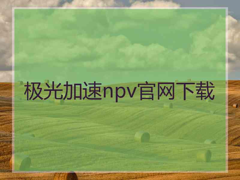 极光加速npv官网下载