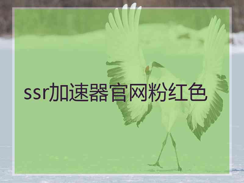 ssr加速器官网粉红色