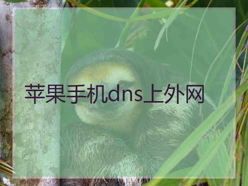 苹果手机dns上外网