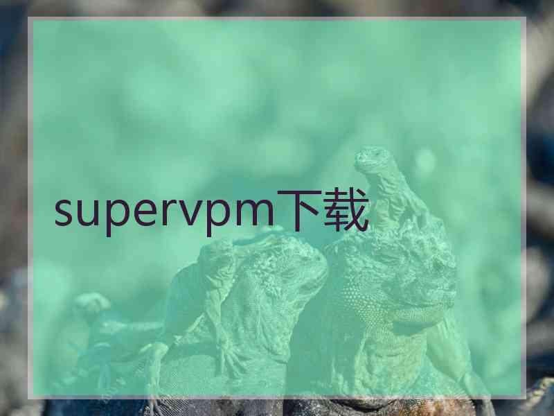 supervpm下载