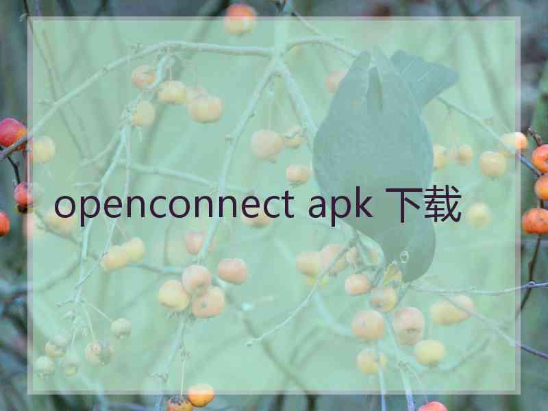 openconnect apk 下载