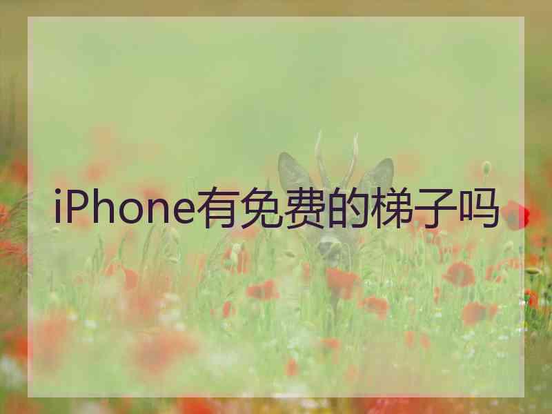 iPhone有免费的梯子吗