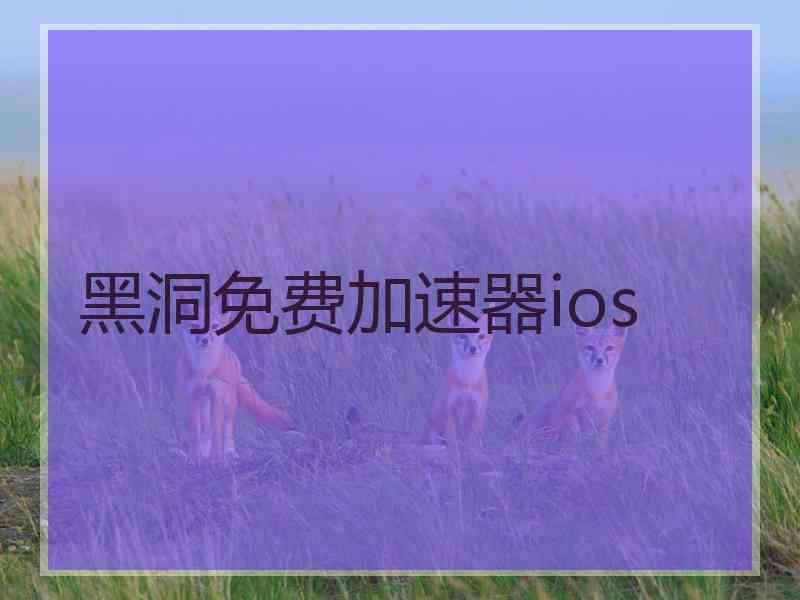 黑洞免费加速器ios