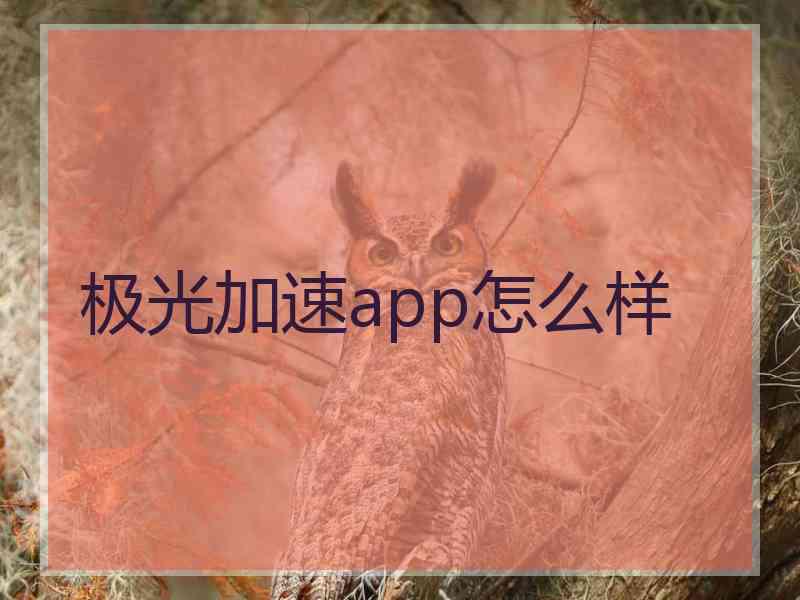 极光加速app怎么样