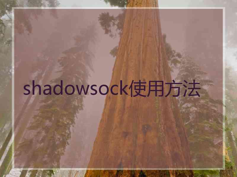 shadowsock使用方法