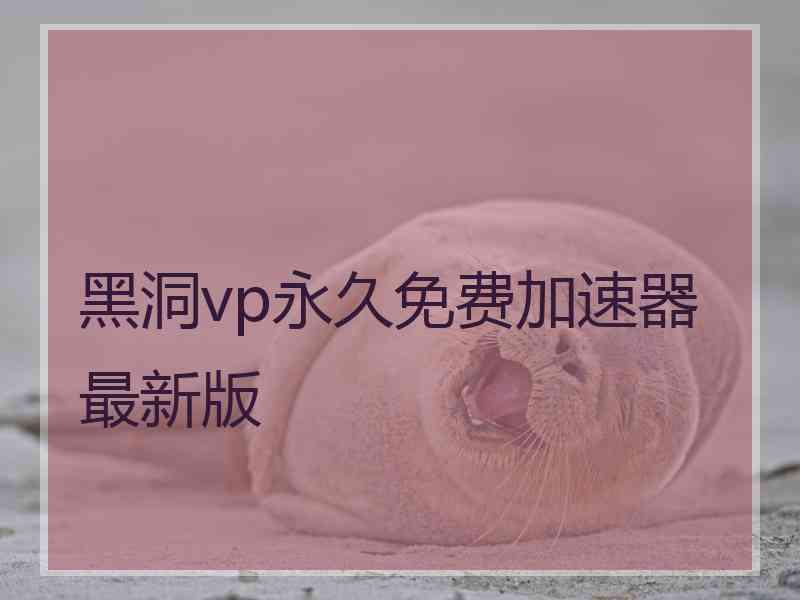 黑洞vp永久免费加速器最新版