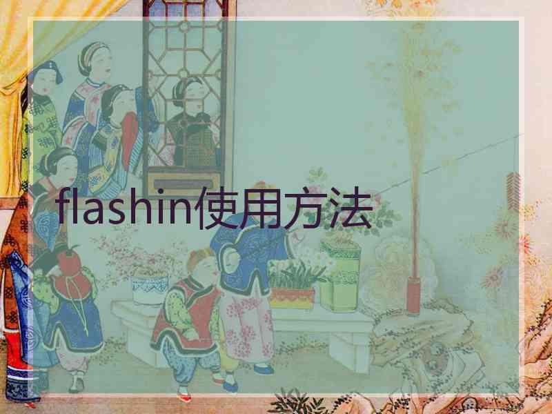 flashin使用方法