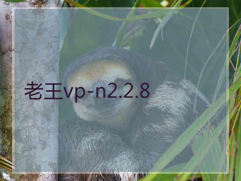 老王vp-n2.2.8