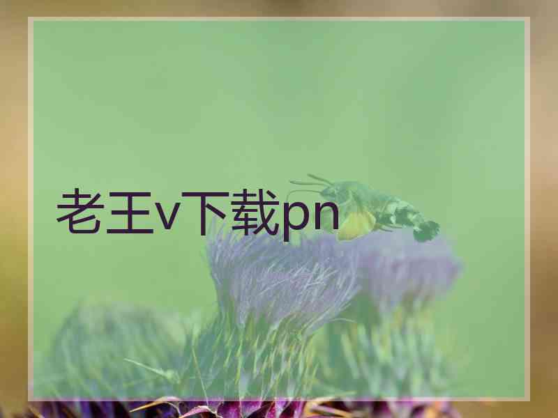 老王v下载pn