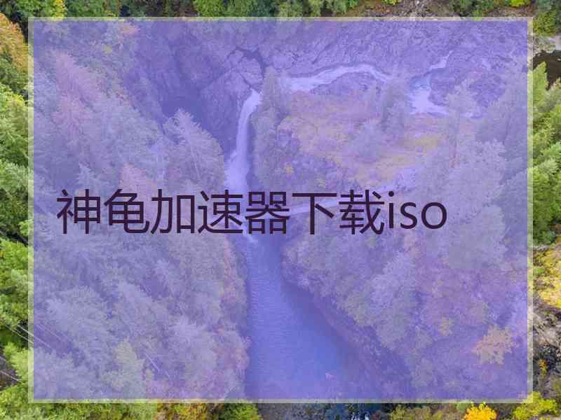 神龟加速器下载iso