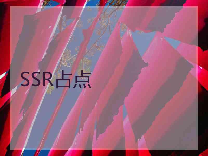 SSR占点