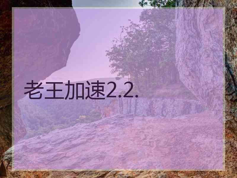 老王加速2.2.